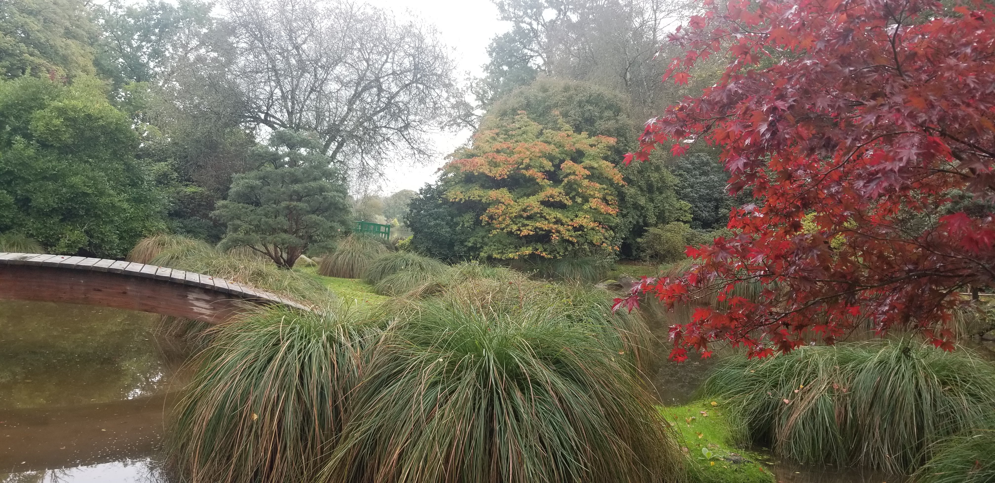 Photo n° 2 de l'avis de alain.a fait le 02/11/2022 à 17:26