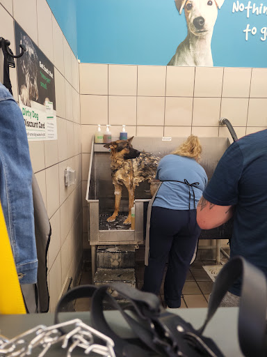 Pet Supply Store «Pet Supplies Plus», reviews and photos, 1970 Portage Trail, Cuyahoga Falls, OH 44223, USA