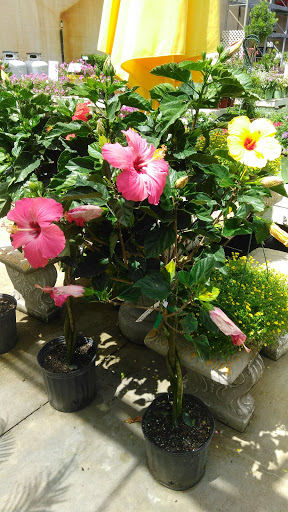 Hardware Store «Hagan Ace Hardware», reviews and photos, 6567 US-90, Glen St Mary, FL 32040, USA