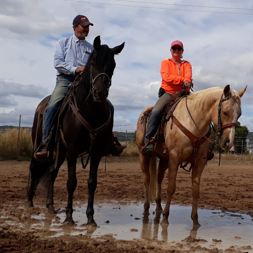 Caballos Naturalmente