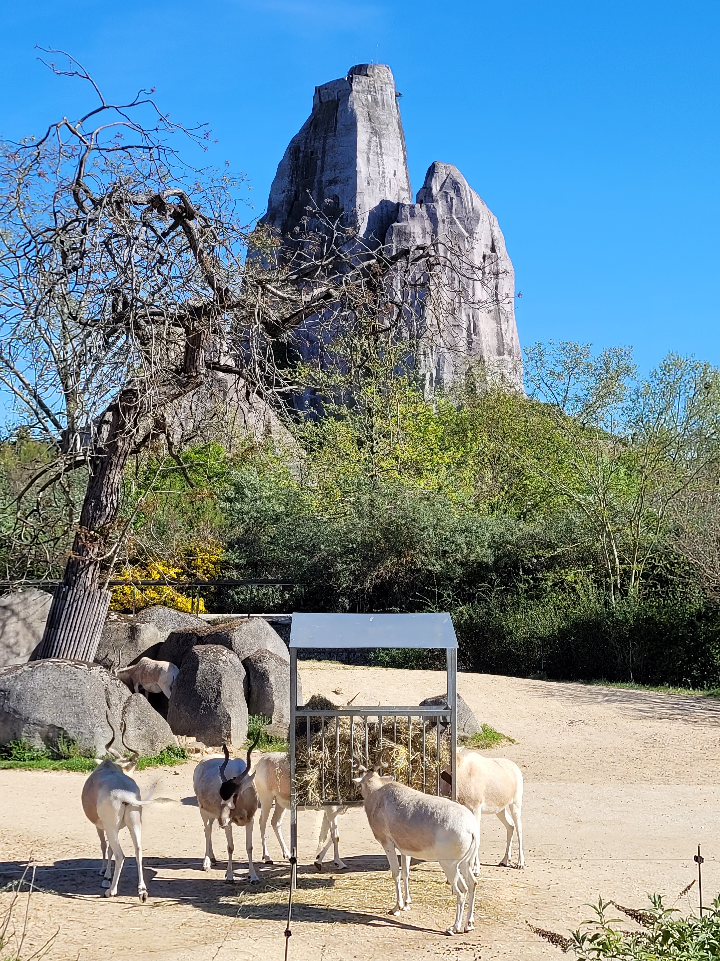 Photo n° 5 de l'avis de Nathalie.o fait le 17/04/2022 à 11:27