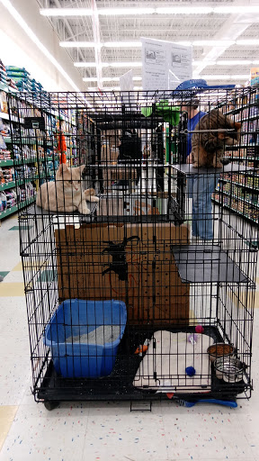 Pet Supply Store «Pet Supplies Plus», reviews and photos, 605 Grand Central Ave, Vienna, WV 26105, USA