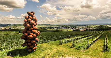 Skulptur 'ohne Titel 2005' von Heimo Zobernig am Käferberg