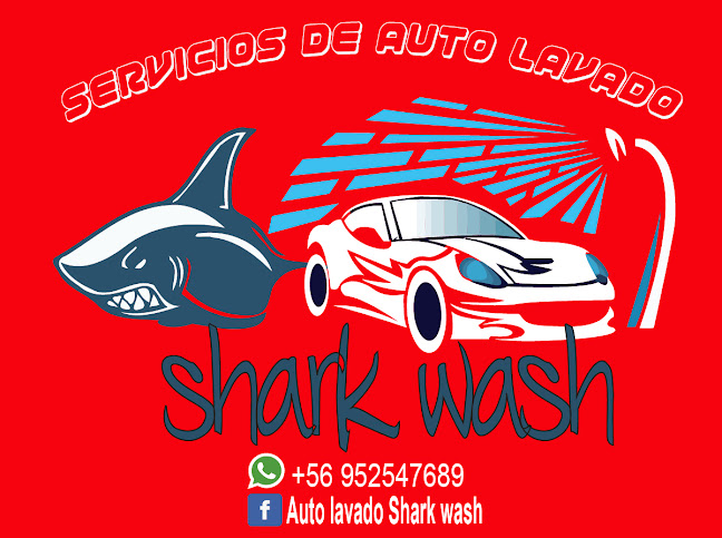 Auto lavado shark wash - Valdivia