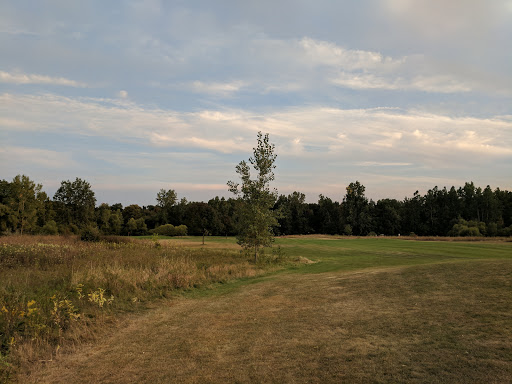 Public Golf Course «Briar Ridge Golf Course», reviews and photos, 11099 W Dodge Rd, Montrose, MI 48457, USA