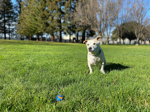 Park «Wallenberg Park», reviews and photos, Curtner Ave & Cottle Ave, San Jose, CA 95125, USA