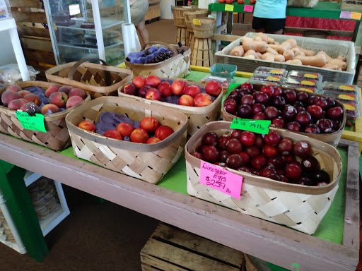 Grocery Store «Puzyckis market», reviews and photos, 15690-15698 Bedford Cir W, Clearwater, FL 33764, USA