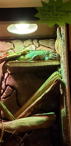 Reptile Store «Pets & Things», reviews and photos, 44825 Van Dyke, Utica, MI 48317, USA