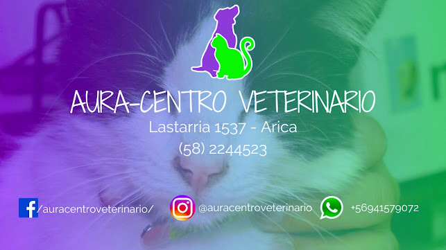 Aura - Centro Veterinario