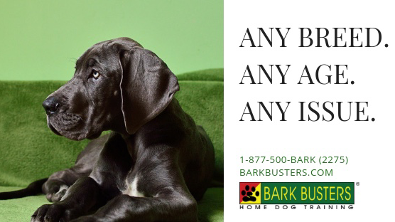 Bark Busters Home Dog Training Mid-Maryland