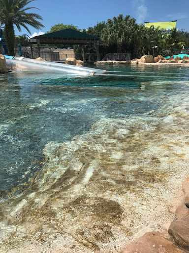 Water Park «Aquatica», reviews and photos, 5800 Water Play Way, Orlando, FL 32821, USA