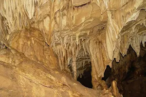 Cavernas de Venado image