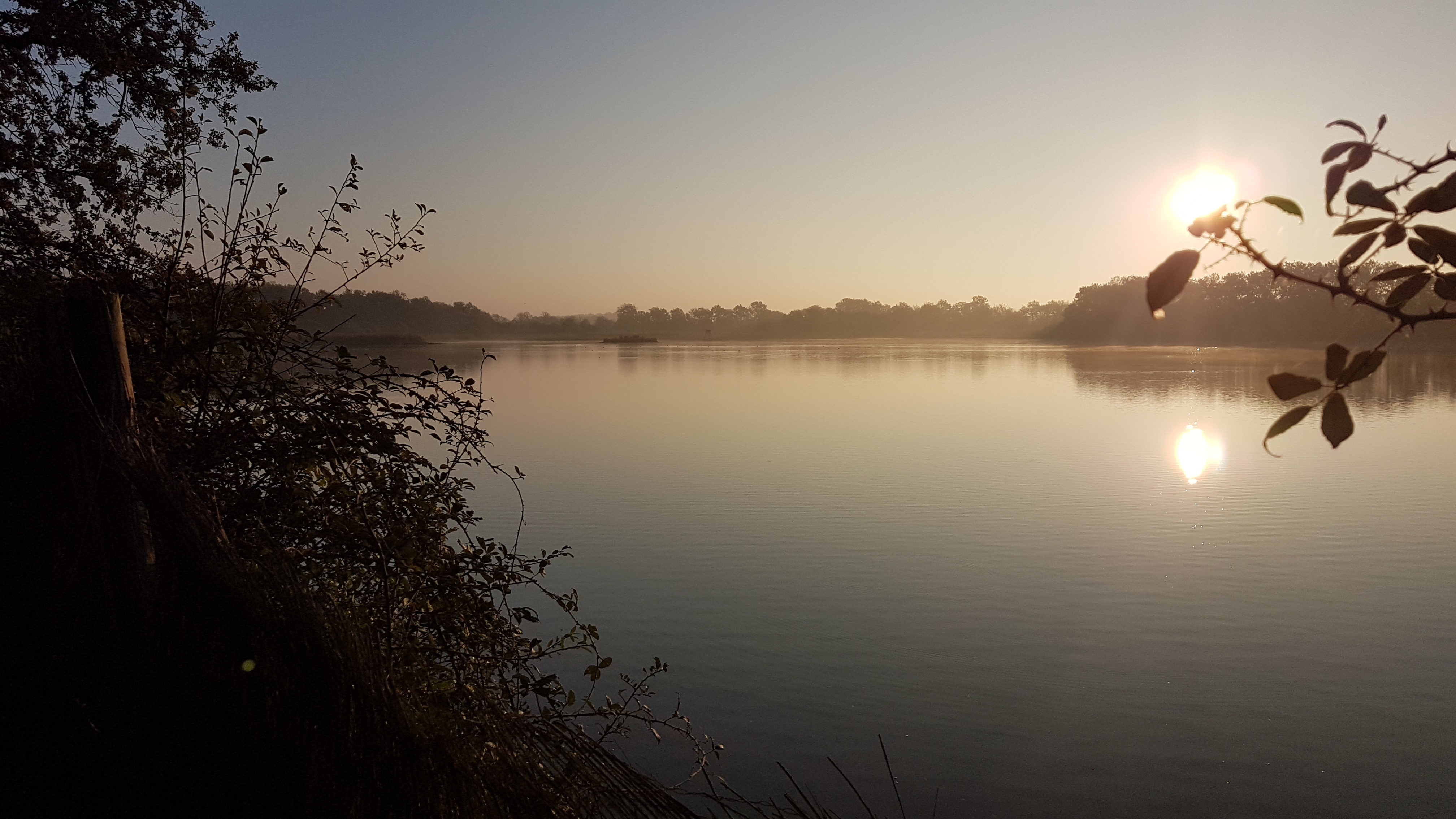 Photo n° 3 de l'avis de MICHEL. fait le 24/10/2018 à 09:05