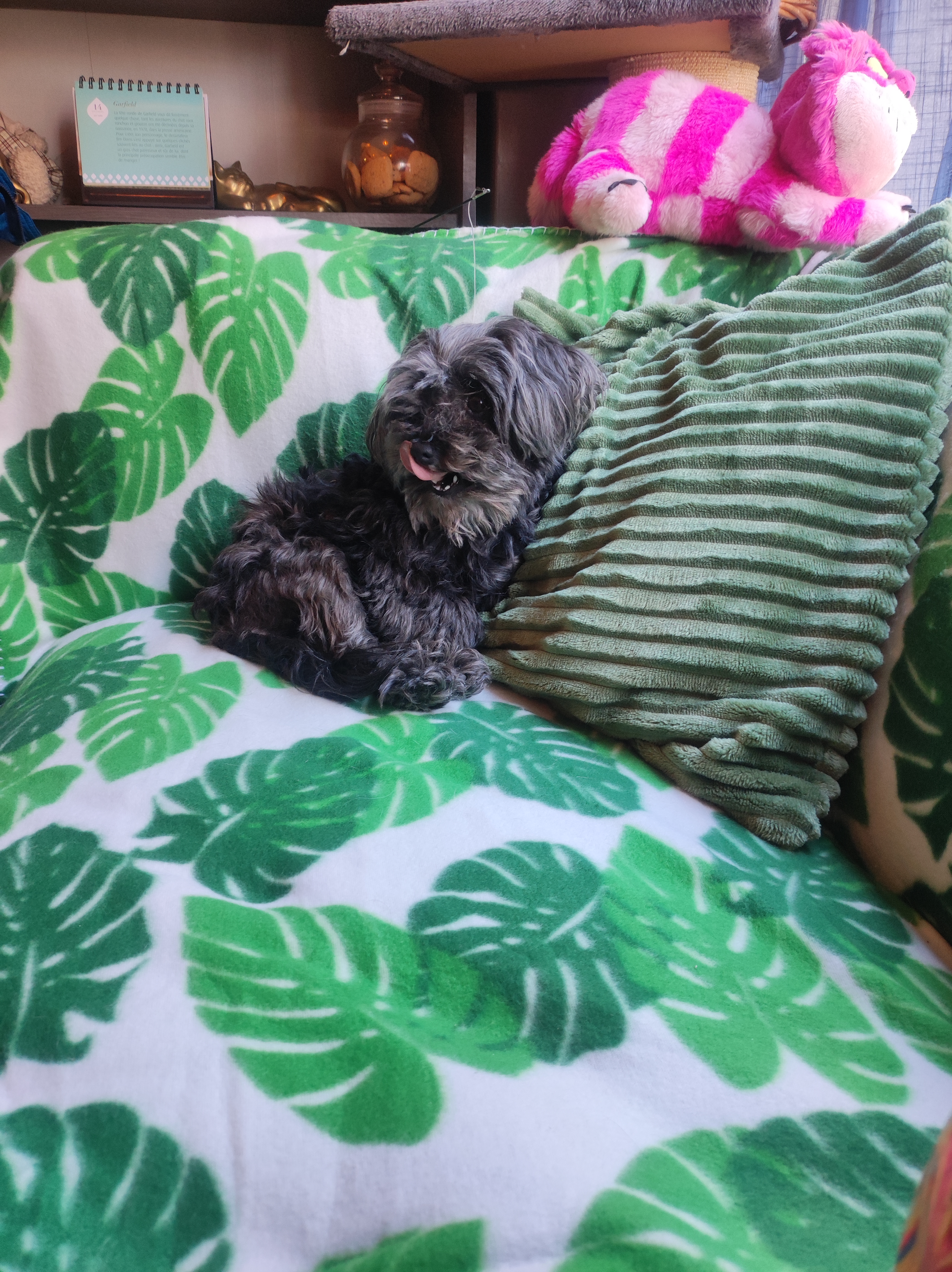 Photo n° 2 de l'avis de manou.7 fait le 29/11/2018 à 12:29