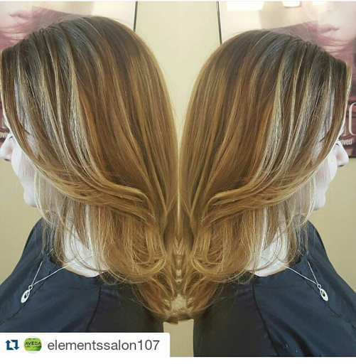 Hair Salon «Elements Salon and Spa», reviews and photos, 3422 Sixes Rd, Canton, GA 30114, USA