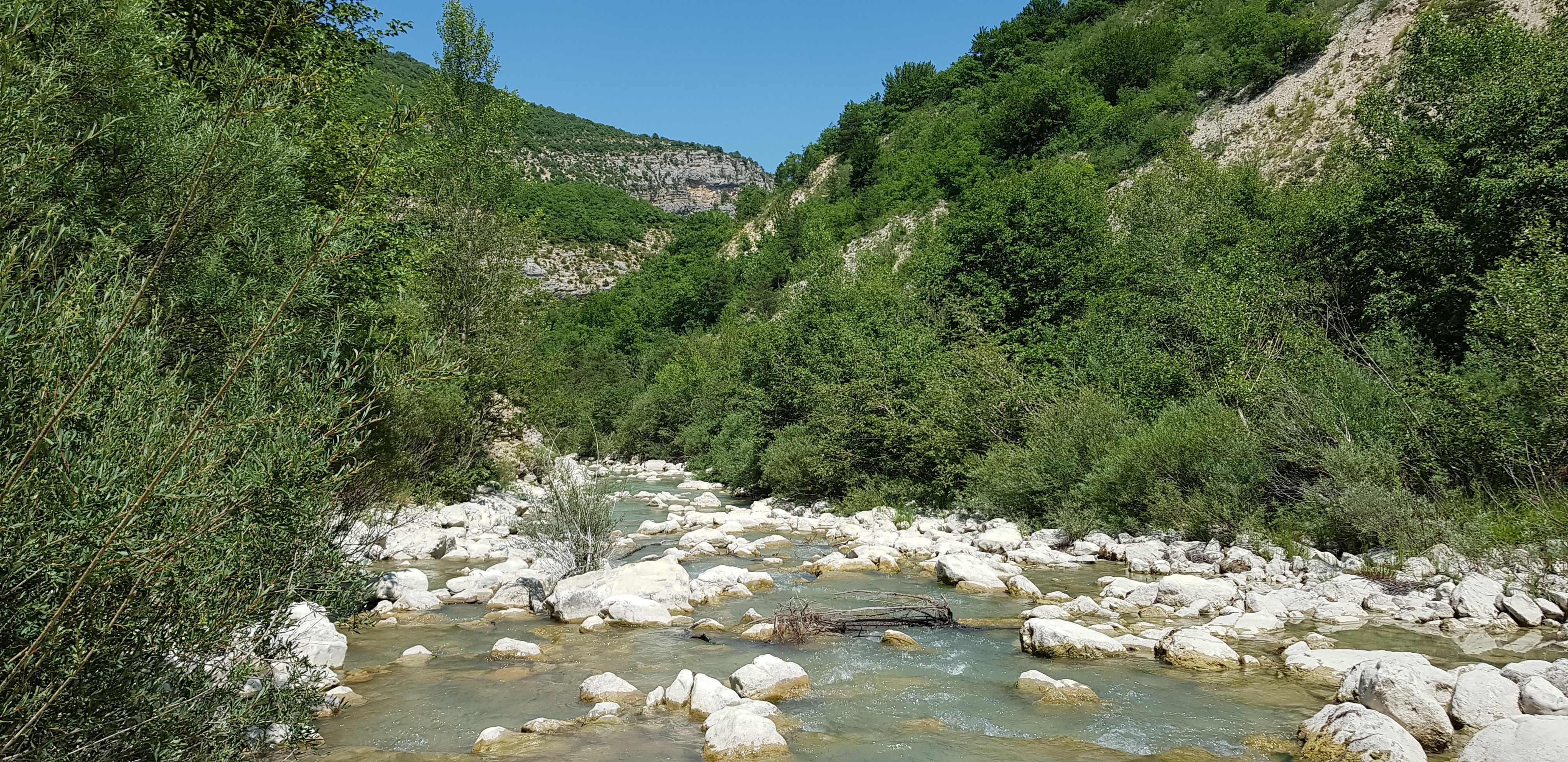Photo n° 41 de l'avis de Radouane.e fait le 06/07/2019 à 20:52