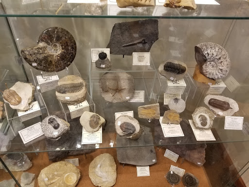 Jewelry Store «What On Earth», reviews and photos, 1727 W Lane Ave, Columbus, OH 43221, USA