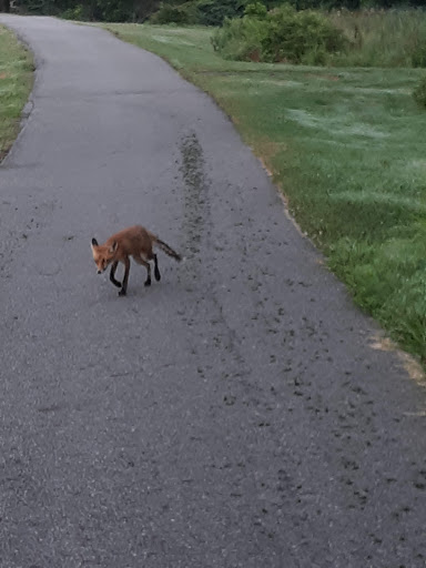 Country Club «Great Gorge Golf Course», reviews and photos, 414 County Road 517, Vernon Township, NJ 07462, USA