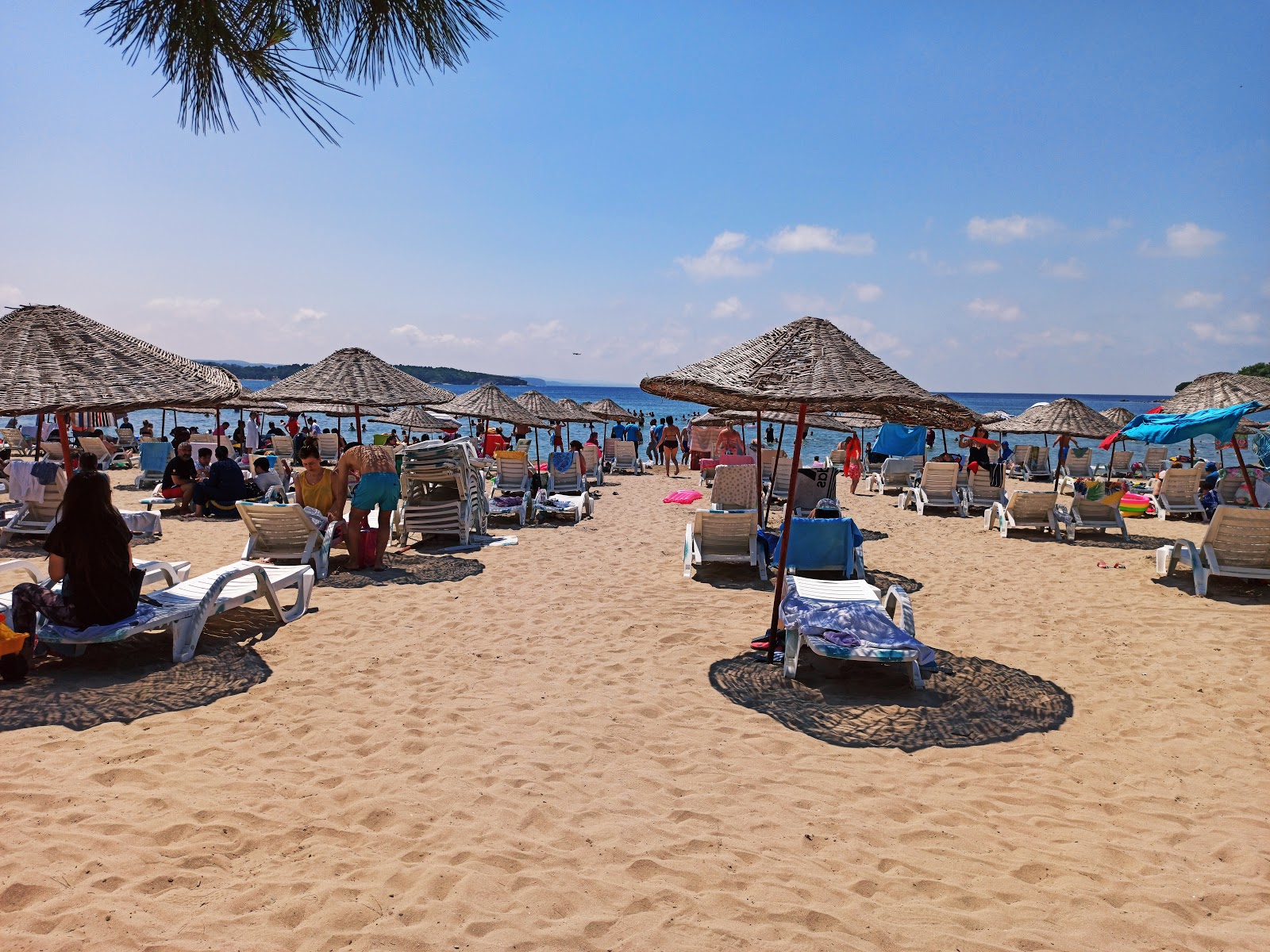 Kerpe Plajı'in fotoğrafı çok temiz temizlik seviyesi ile