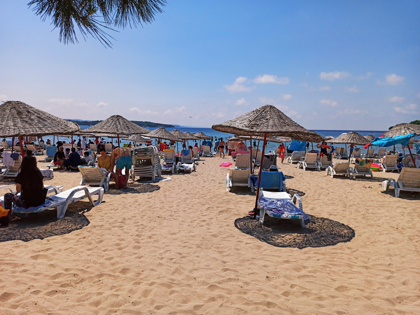 Kerpe Plaji photo #4
