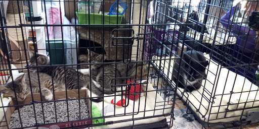 Pet Supply Store «Pet Valu», reviews and photos, 411 Valley Brook Ave, Lyndhurst, NJ 07071, USA