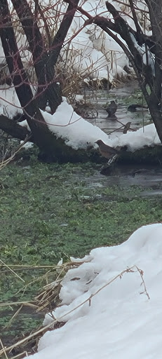 Park «Valley View Park», reviews and photos, 5575 Ozark Avenue North, Oak Park Heights, MN 55082, USA