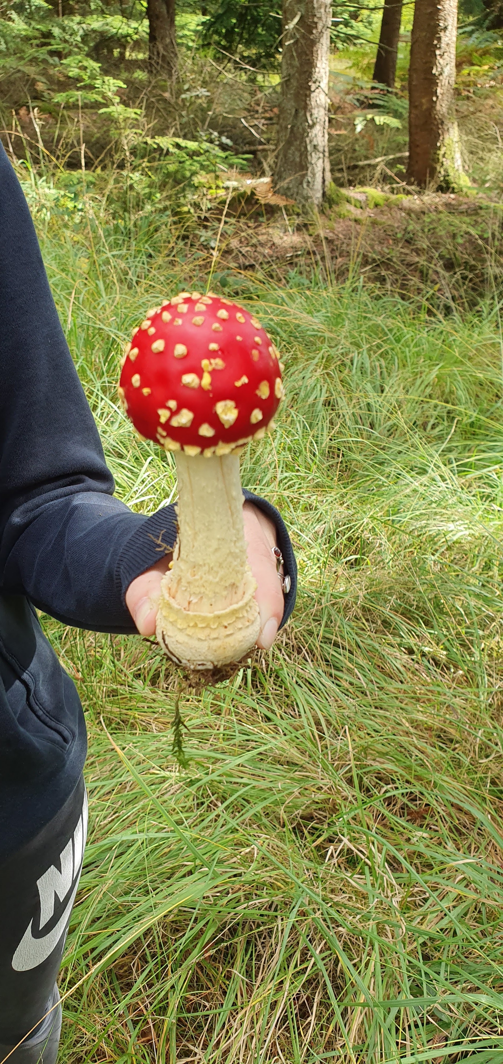 Photo n° 1 de l'avis de Alex.e fait le 07/10/2019 à 09:57