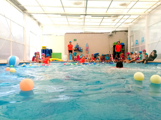 AQUALEGRÍA Escuela de natación