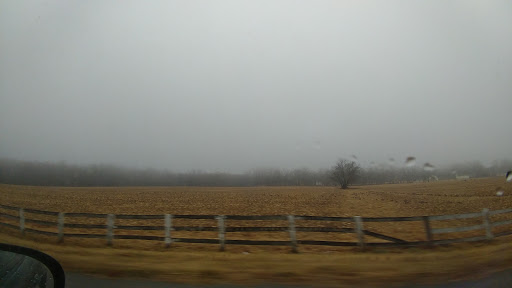 Country Club «Maryland Golf & Country Club», reviews and photos, 1335 E Macphail Rd, Bel Air, MD 21015, USA