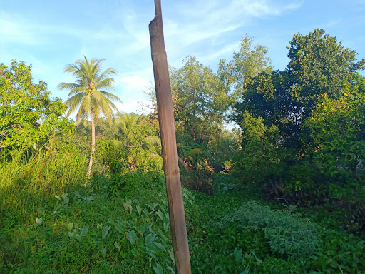 Top 13 cửa hàng kim giáp Huyện Trà Ôn Vĩnh Long 2022