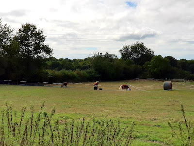 La Ferme Pédagogique de la Jarrie à Nesmy
