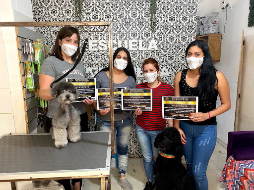 Le Mascotte Peluquería Canina, Pet Shop, Escuela de Peluquería Canina