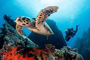 EQUINOXE Diving School image