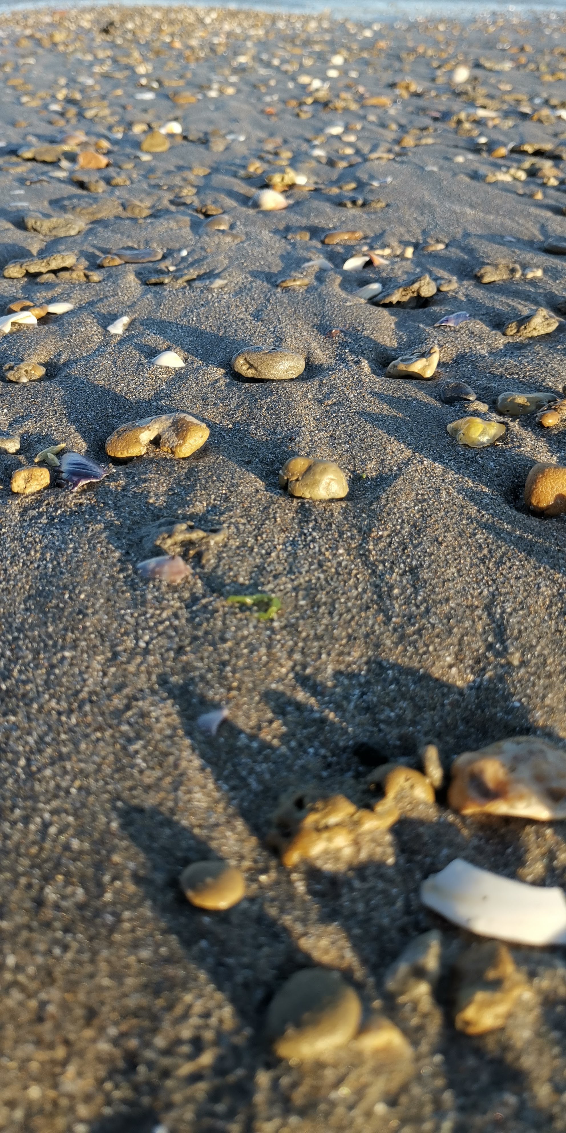 Photo n° 2 de l'avis de benoit.e fait le 30/06/2020 à 17:50