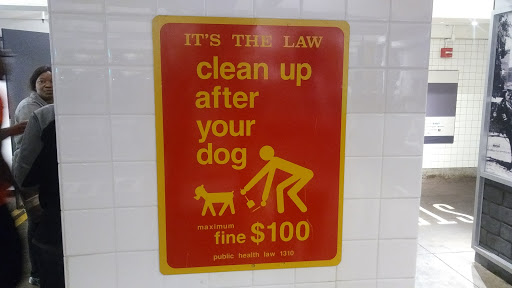 Museum «New York Transit Museum», reviews and photos, Boerum Pl & Schermerhorn St, Brooklyn, NY 11201, USA