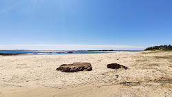 Zdjęcie Taylor Beach z powierzchnią turkusowa czysta woda