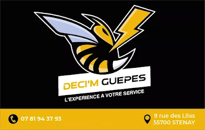 Déci'm Guêpes à Stenay