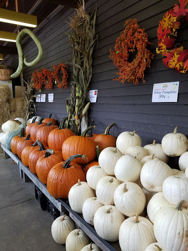 Produce Market «Idylwilde Farms», reviews and photos, 366 Central St, Acton, MA 01720, USA