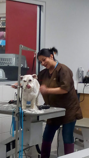 Pet Supply Store «Petco Animal Supplies», reviews and photos, 2520 E 3rd St, Bloomington, IN 47401, USA