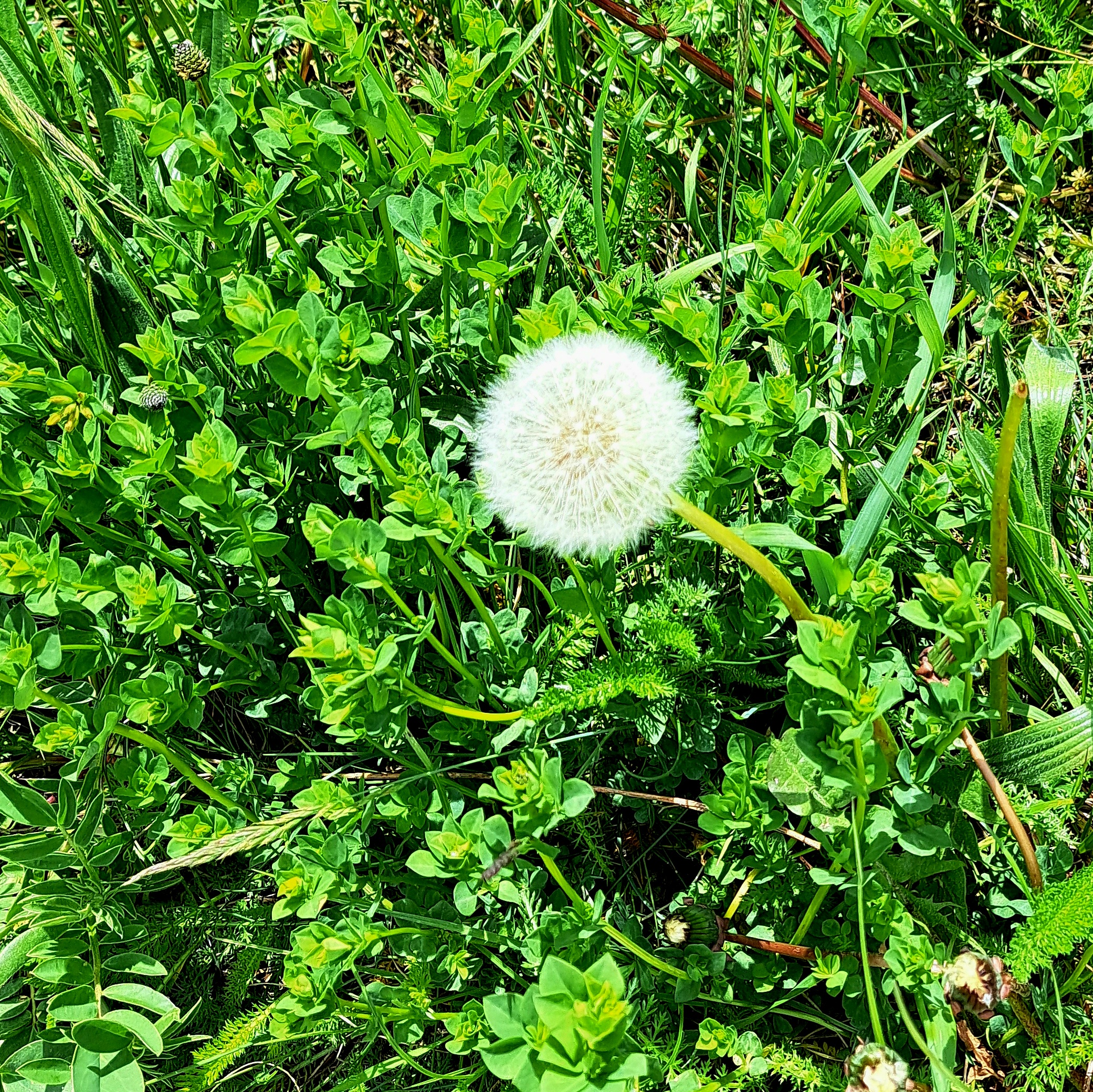 Photo n° 8 de l'avis de Patrick.i fait le 16/05/2023 à 16:28