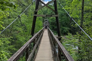 Swinging Bridge on the Toccoa River image
