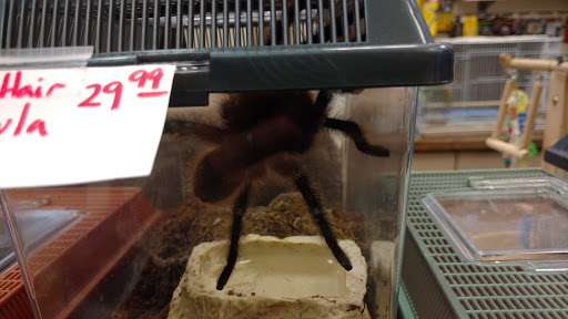 Pet Store «Animal Ark», reviews and photos, 175 S 500 E St, American Fork, UT 84003, USA