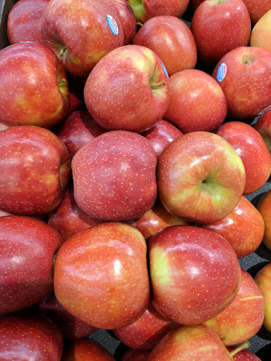 Grocery Store «Food Lion», reviews and photos, 424 N Main St, Kilmarnock, VA 22482, USA