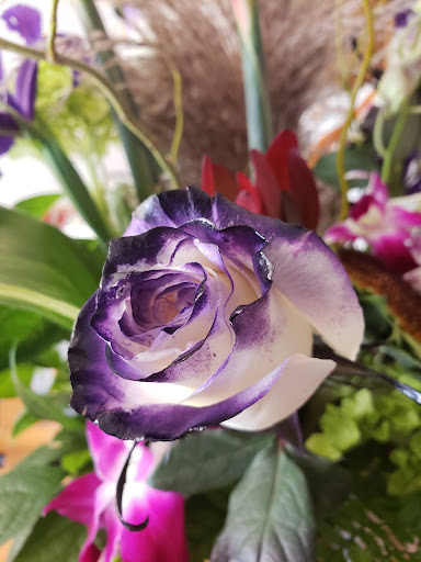 Florist «The Enchanted Florist», reviews and photos, 366 2nd St, Monument, CO 80132, USA