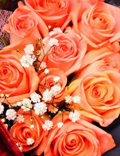 Grocery Store «Giant Food Stores», reviews and photos, 202 Chestnut St, Coplay, PA 18037, USA