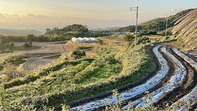 アイ・ファーム野田尾農園
