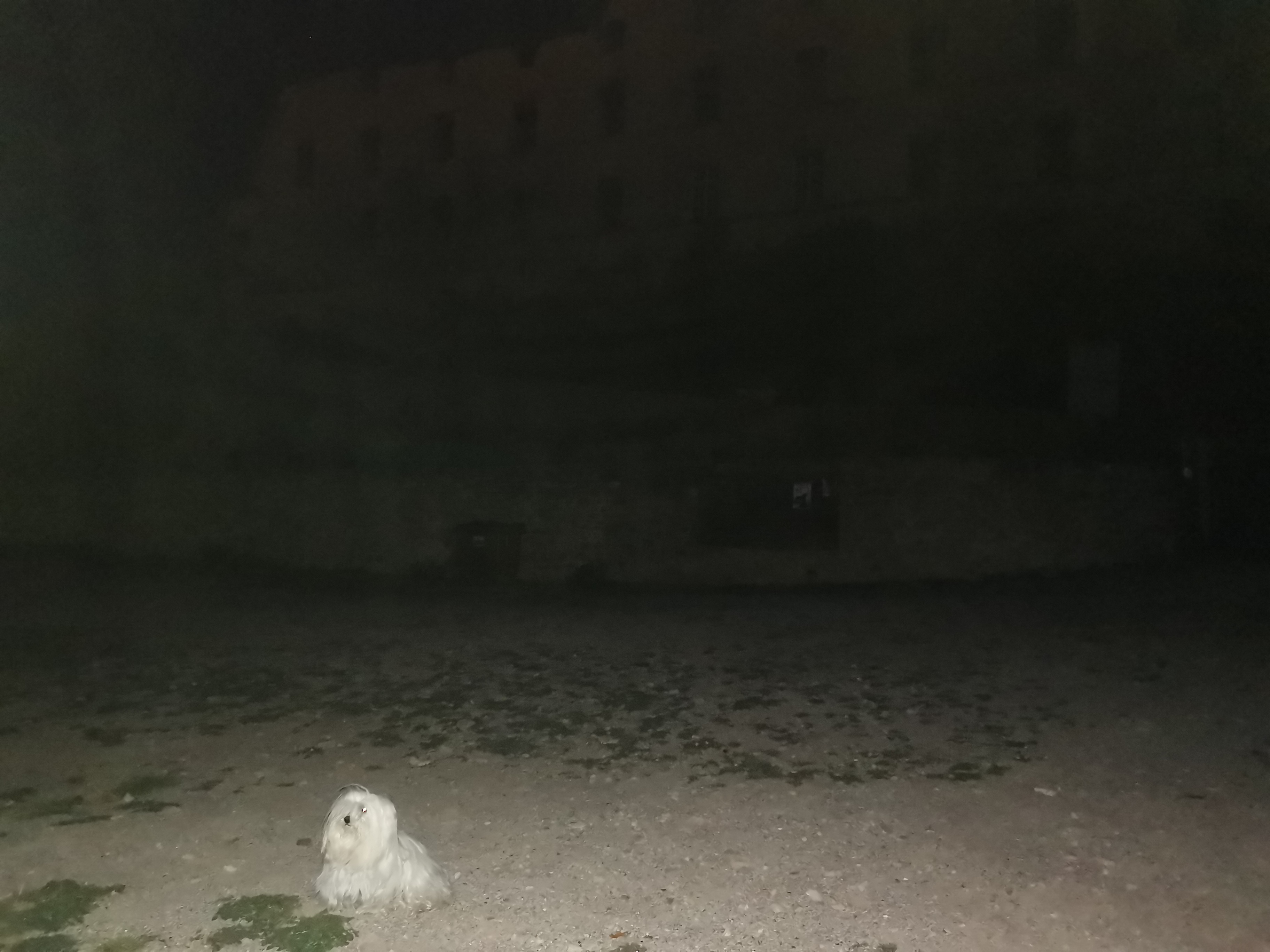 Photo n° 2 de l'avis de UCEPH.o fait le 23/08/2019 à 12:45