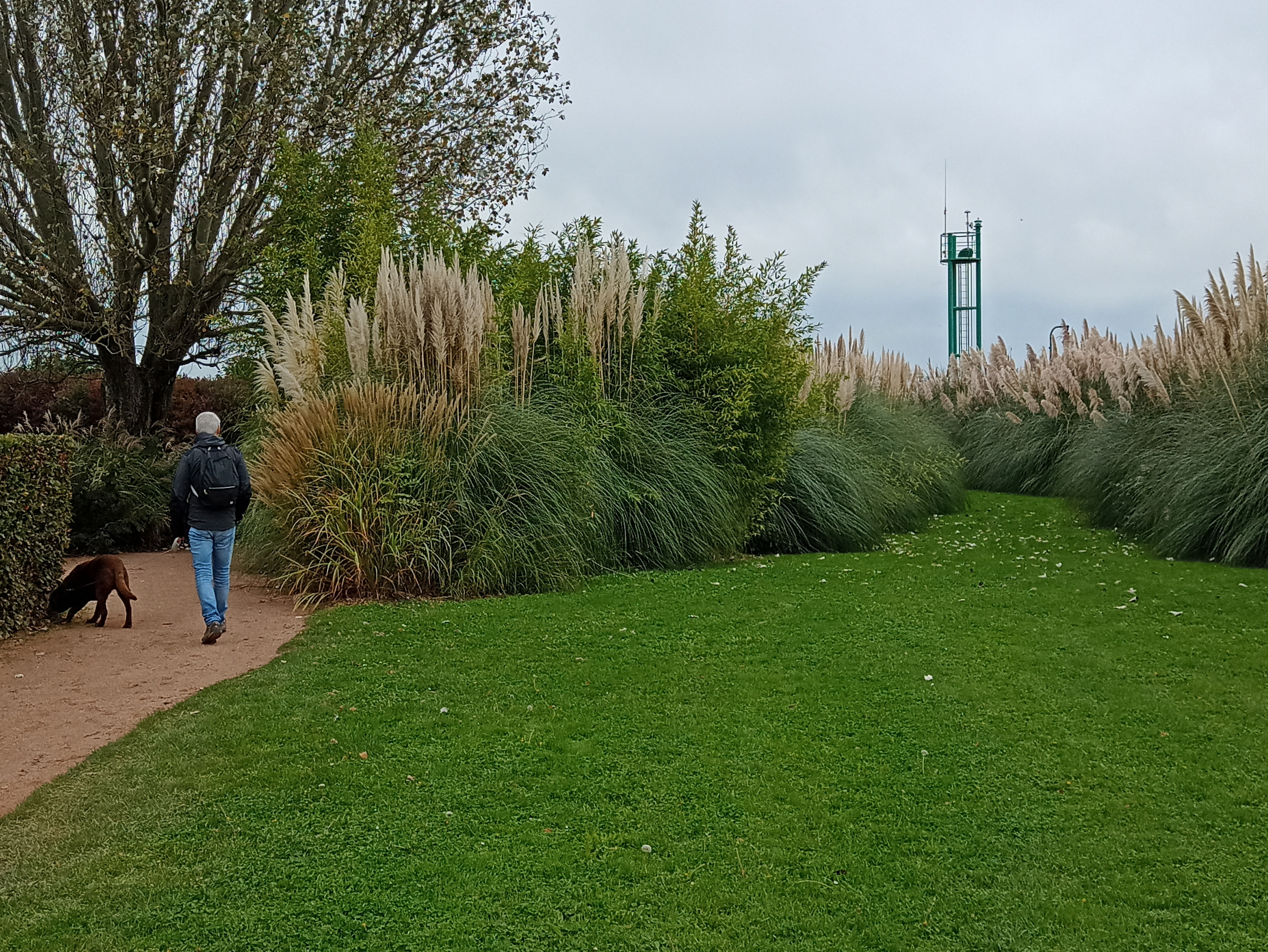 Photo n° 1 de l'avis de Mar.A fait le 23/10/2023 à 17:36