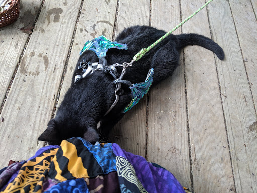 Tourist Attraction «The Great Lakes Medieval Faire», reviews and photos, 3033 OH-534, Rock Creek, OH 44084, USA