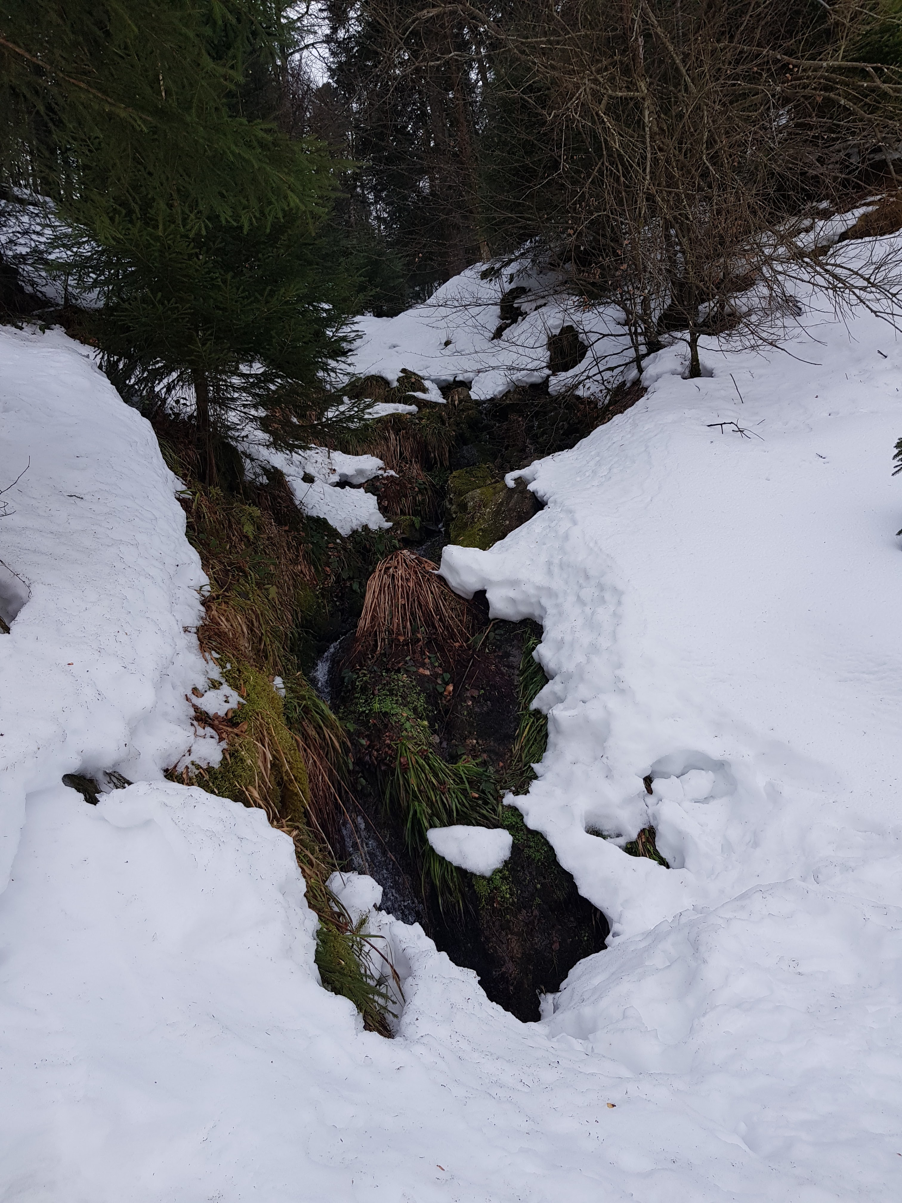 Photo n° 1 de l'avis de Melanie.o fait le 20/02/2019 à 17:34